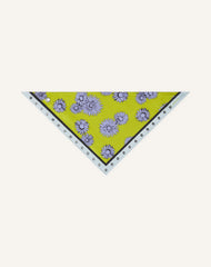 Foulard Triangle À Motifs Marguerite En Soie Green