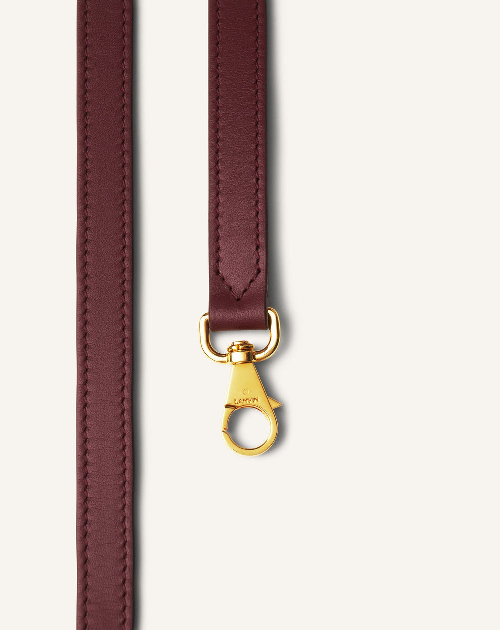 Brown Compagnon Asymmetrical Bag In Leather